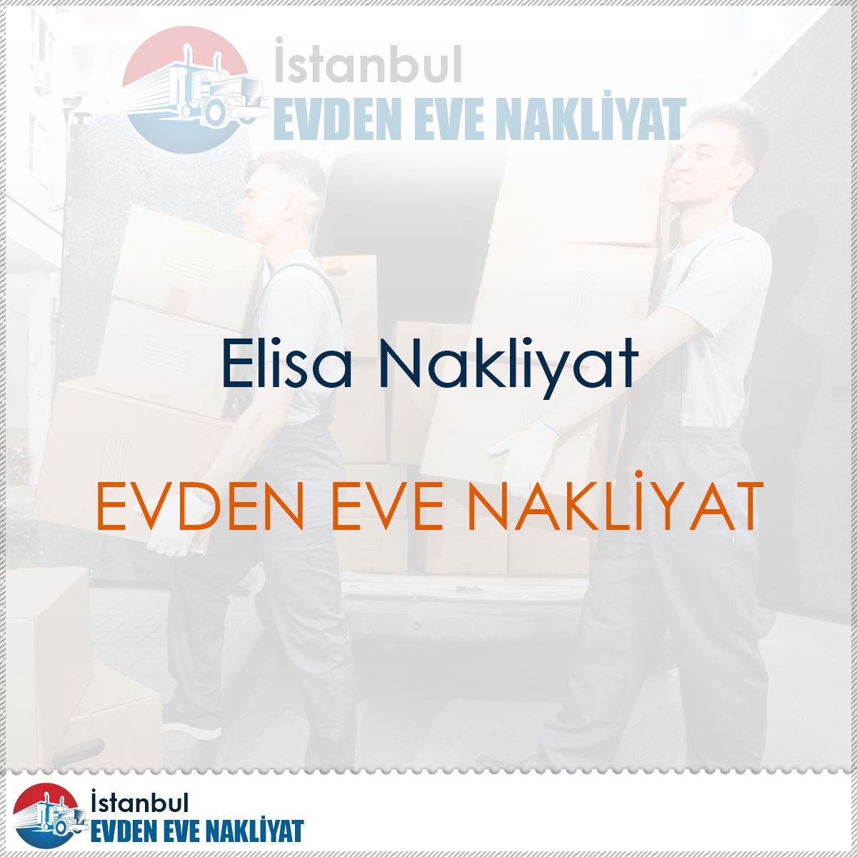 Elisa Nakliyat : Kapak Görseli