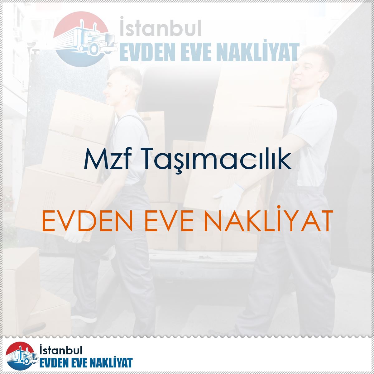 Mzf Taşımacılık : Kapak Görseli