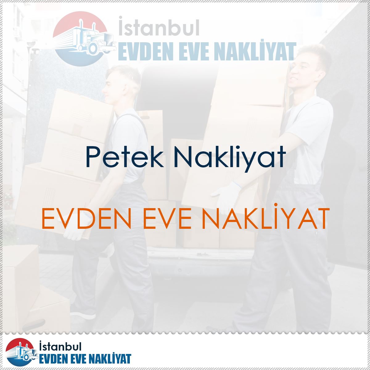 Petek Nakliyat : Kapak Görseli